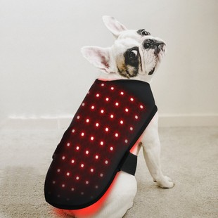 LumiPet
